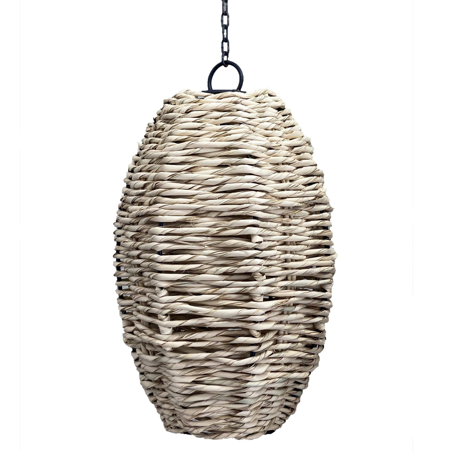 Beautiful Palm Oval Pendant Lighting 1 image 0