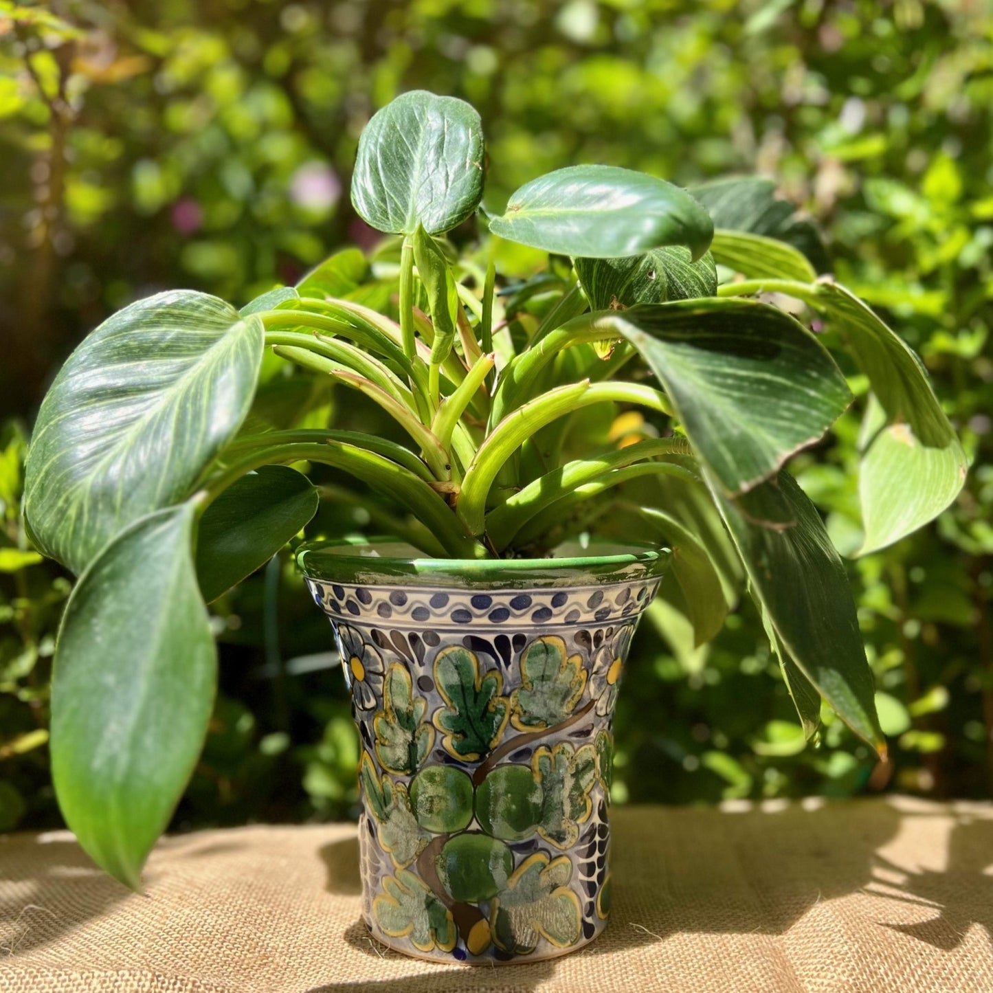 Colorful Talavera Planter Pots 7 image 0